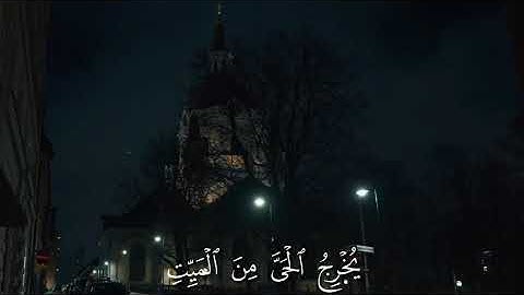 راحة نفسية #راحة_نفسية #قرآن #آيات 