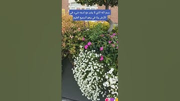 لا تغفل أو تترك أذكار الصباح والمساء 👂👂#صلوا_على_النبي #اكسبلور