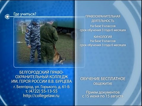 Предметы кинолога. Кинолог колледж. Вещи кинолога. Кинолог что сдавать после 9 нужно класса. Вуз хабаровск кинолог.