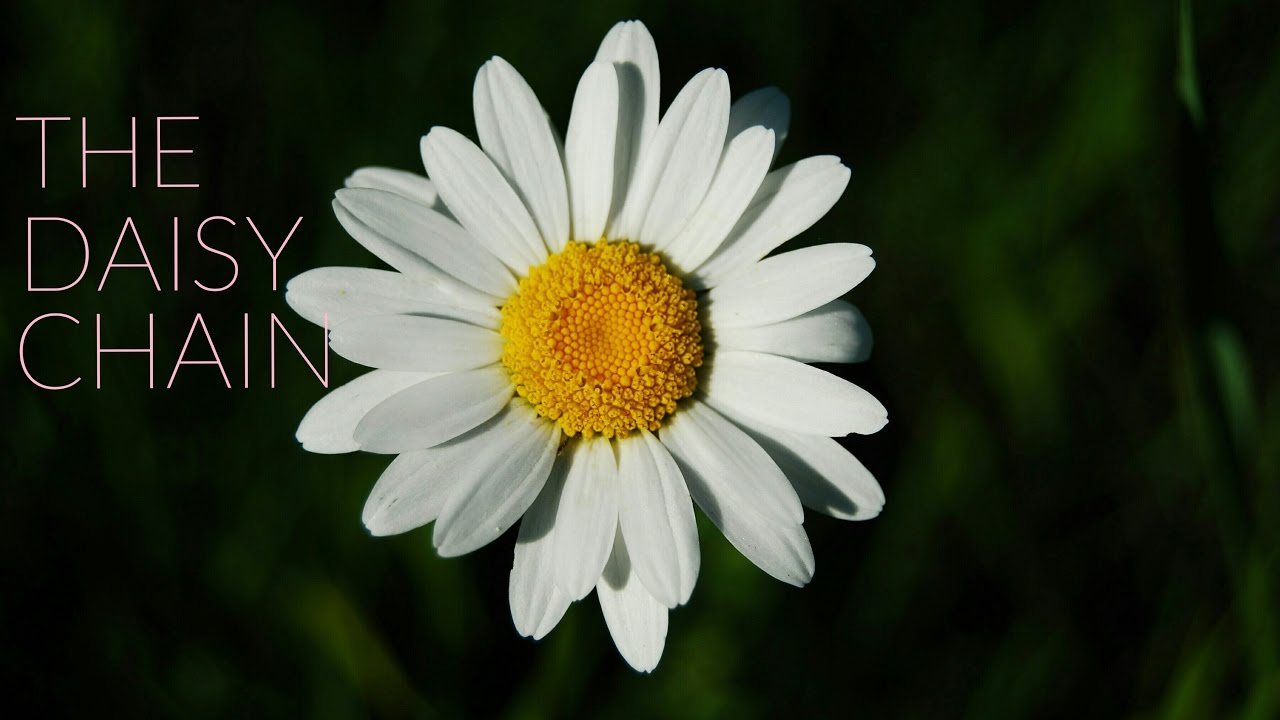 The Growlers The Daisy Chain Subtitulada Youtube