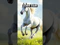 🐴 말띠 주간운세(7월7일~7월13일)