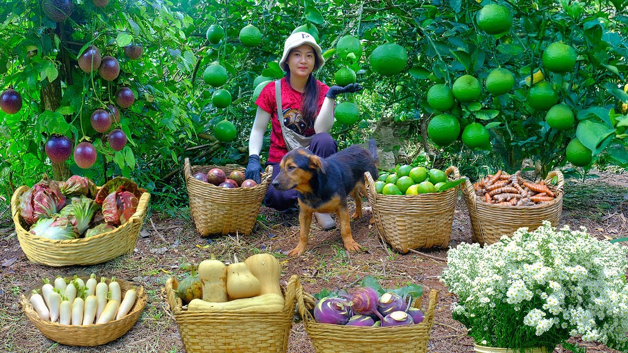 Harvest Fruits And Vegetables Grown By Myself To Sell At The Market, Farm Life, Cook, Garden.