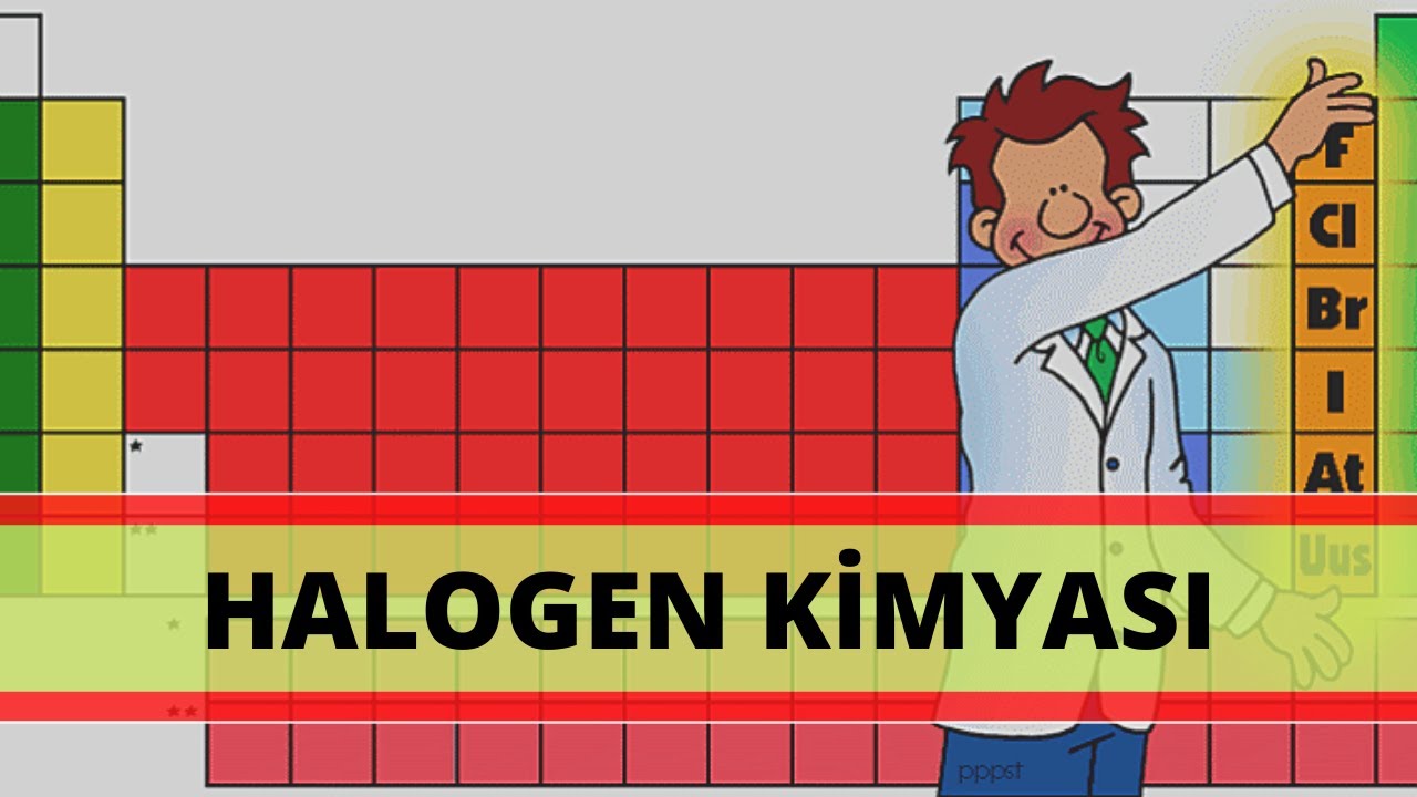 Halogenlər haqqında hər şey