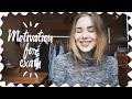 ЛУЧШАЯ МОТИВАЦИЯ ПЕРЕД ЭКЗАМЕНОМ! || Alyona Burdina