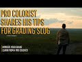 How to grade slog footage