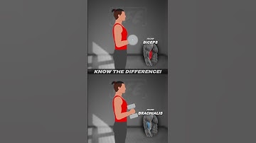 💪❗️Know the Difference: Bicep Curl vs Hammer Curl! #animation #fitness #tips #gym #workout