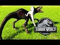 INDORAPTOR CONTRA VELOCIRAPTORES MUTANTES JURASSIC WORLD EVOLUTION