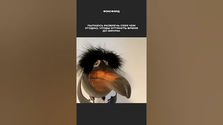 А как развлекаетесь вы? 😎 Пишите в комментариях! @FoxfordRu — подписывайтесь!