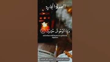 سورة التكوير - تلاوة عطرة عبد الباسط عبد الصمد - القران شفاء للصدور