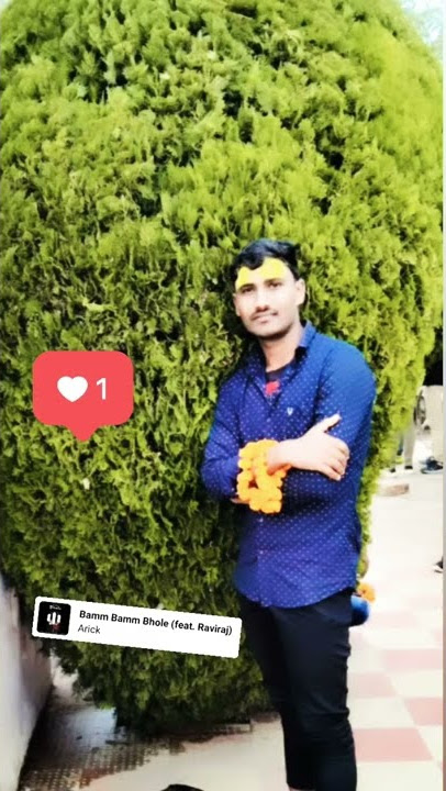 bam bam bol Raha hai Kashi