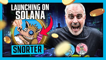 Solana Meme Bot Snorter Just Launched | Could This 100x?