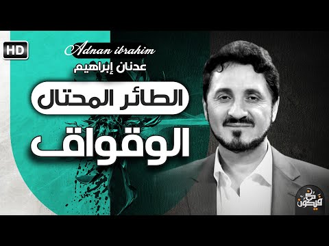 طائر الوقواق الذكي والاكثر خبثا د عدنان إبراهيم حول طائر انثى الوقواق
