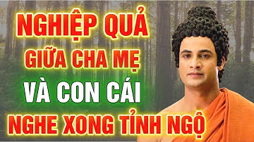 Nghiệp Quả Giữa Cha Mẹ Và Con Cái - Vì Sao Đứa Trẻ Lại Chọn Bạn (nghe mà tỉnh ngộ)