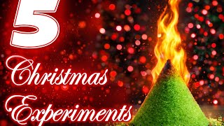 5 Christmas Science Experiments That Actually Wow (Easy Holiday STEM!)