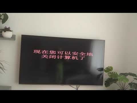 windows xp crazy error