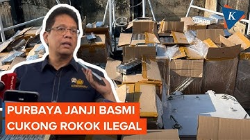 Purbaya Akan Basmi Cukong Rokok Ilegal dan Oknum Bea Cukai Nakal