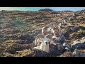 2015 Dall Sheep Hunt - Brothers in the Brooks