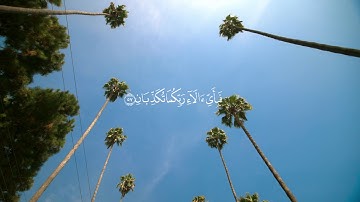 كأنهن الياقوت والمرجان.. تلاوة رائعة من سورة الرحمن د. عبدالعزيز الأحمد لعام 1423
