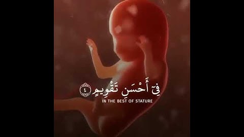 سورة التين | القارئ اسلام صبحي