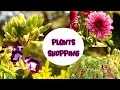 PLANTS SHOPPING 2021 || WINTER PLANTS || AK GARDENING PASSION..