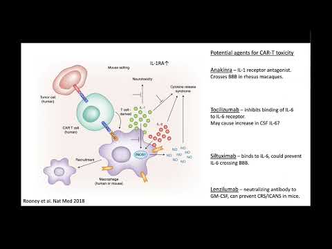 CAR-T Toxicity