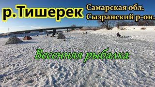 ВЕСЕННЯЯ РЫБАЛКА НА РЕКЕ ТИШЕРЕК/ЛОВЛЯ НА ЧЕРТА/ГУСТЕРА И УКЛЕЙКА СО ЛЬДА/СЫЗРАНЬ, САМАРСКАЯ ОБЛАСТЬ
