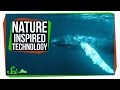8 Useful Technologies Inspired by Nature
