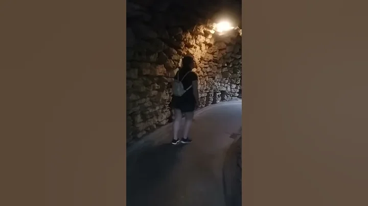 Butterfly Exhibit at the Krohn Conservatory!(1)