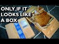 Amazon Box Cat Beds