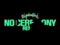The Good Natured - Video Voyeur (No Ceremony Remix)