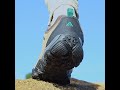 Humtto New Arrival Leather Hiking Shoes Wear-resistant Outdoor Sport Men