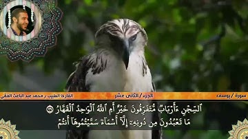 سورة يوسف (2)