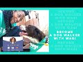 Working As A Dog Walker With Wag in 2019 | alexbewell