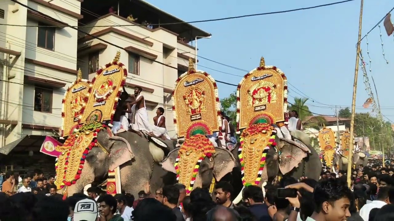 Cheera kulangara pooram#arthat desam#chem manur desam#kunamkulam#
