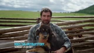 Новая передача про собак на канале Discovery Channel Новая передача про собак на канале Discovery Channel