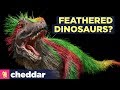 Dinosaurs Were Probably Feathered, Bright...and Beautiful - Cheddar Explores