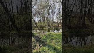 Wiosenny krajobraz #pov #nature #landscape #spring #beautiful
