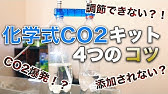 ペットボトル1本で作る超簡単シンプル 化学式 自作co2 二酸化炭素システム アクアリウム Youtube ペットボトル1本で作る超簡単シンプル 化学式 自作co2 二酸化炭素システム アクアリウム Youtube