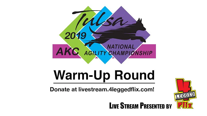 2019 AKC National Agility Championship: Ring 1 - Warm-Up