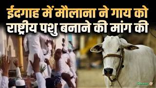 Amroha News : यूपी से मौलाना की बड़ी अपील 'गाय को राष्ट्रीय पशु घोषित करें..गो हत्या करने वालों को.. screenshot 4