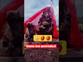 Ganesh babba jii Nikale naraingarh Damoh M.p me sakshat darshan diye ||JAY Ganesh babba jii||🙏🙏