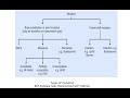 Types of Mutations (Point Mutations and Frameshift Mutations) || Mutations In Genetics