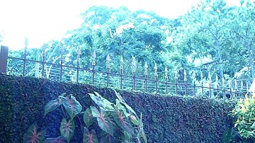 Panasonic Lumix dmc-fp1 HD test