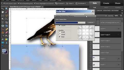 Photoshop Elements Filter Tutorial:  Radial Blur