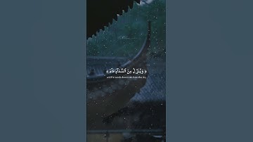 وَمِنۡ ءَايَٰتِهِۦ يُرِيكُمُ ٱلۡبَرۡقَ | ما تيسرَ من سورة الروم (٢٤) . بصوت القارئ مشاري البغلي