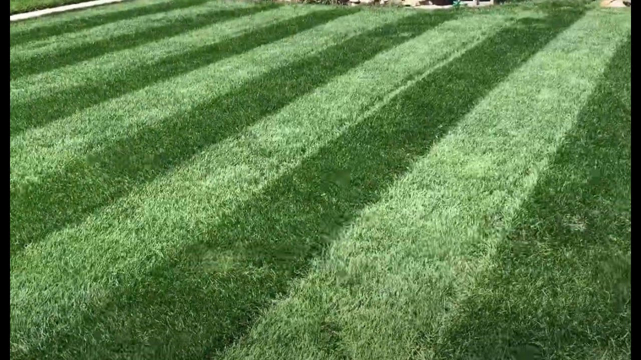 Big League Lawns Stripe CheckMate on a Craftsman lawn mower, ***3