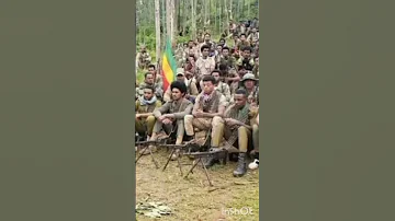 አዲሱ የዳኘ ዋለ የፋኖ ሙዚቃ Fano Music Ethiopianmusic Ethiopia Shorts 