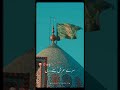 Ha mera mola ali shia shorts short viral trending shianeali hussain hussaini karbala short