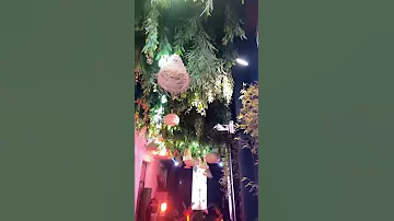 تنظيم وتجهيز القاعات المتنقلة 