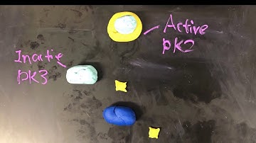Stop Motion-Cell Communication